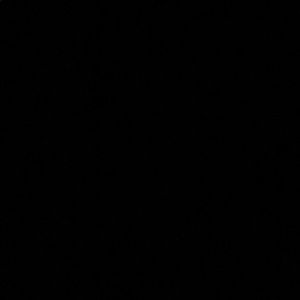 Meet your Posher, Feliciana